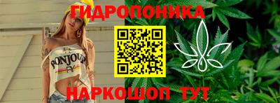СК Гусь-Хрустальный