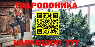 СК Гусь-Хрустальный