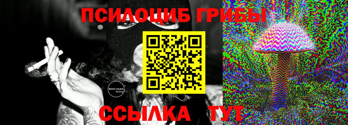 Заводоуковск  как найти закладки  Вход с VPN  Галлюциногенные грибы Psilocybine cubensis  Галлюциногенные грибы Psilocybine cubensis 