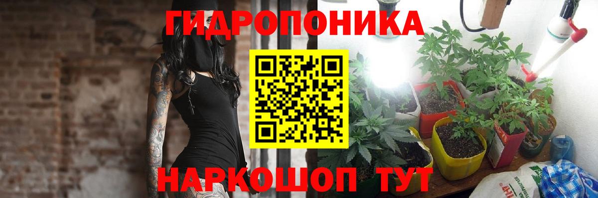 Марихуана сатива Заводоуковск